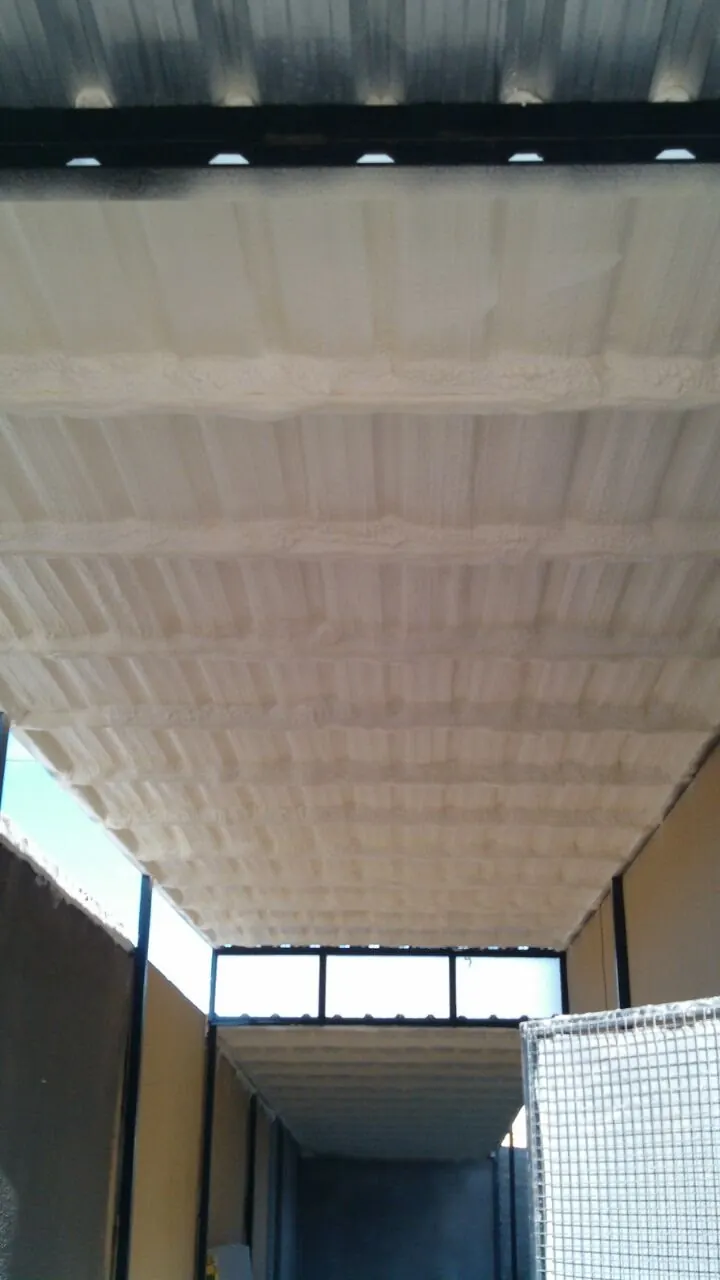 Cielorraso de galpón con poliuretano proyectado desde el interior
